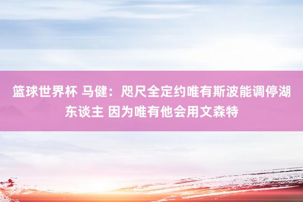 篮球世界杯 马健：咫尺全定约唯有斯波能调停湖东谈主 因为唯有他会用文森特