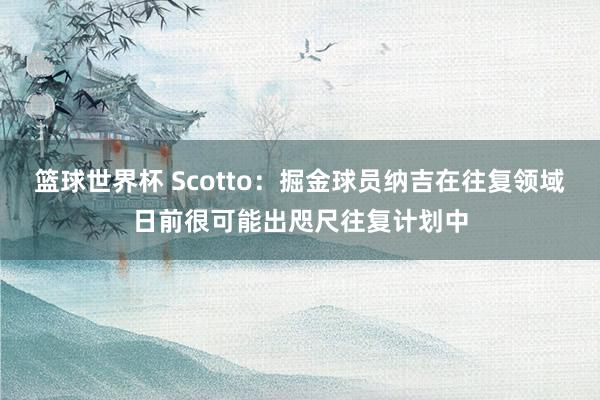 篮球世界杯 Scotto：掘金球员纳吉在往复领域日前很可能出咫尺往复计划中